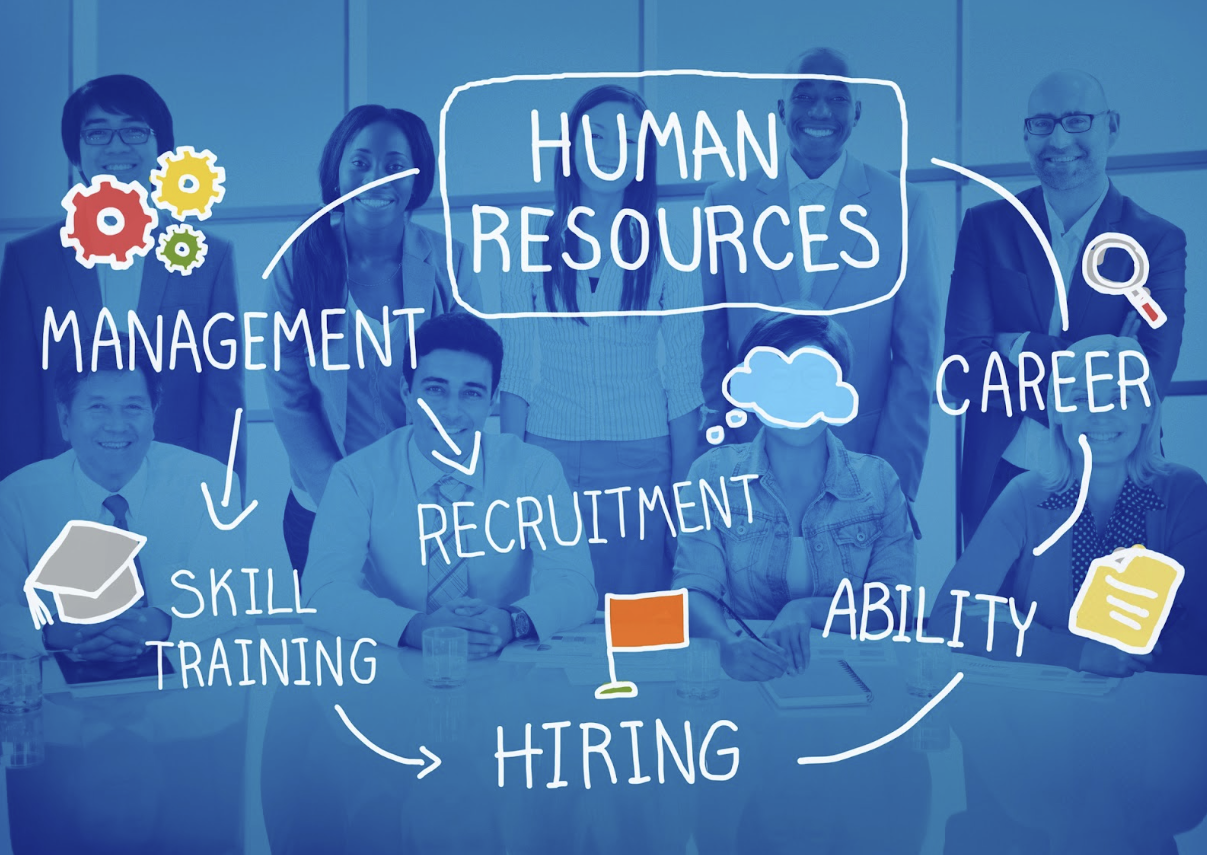 Building a Career in HR: Key Strategies for Success