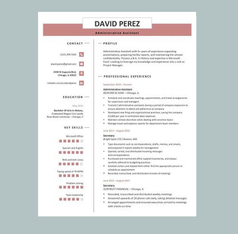 Premium Professional Resume Word Wine