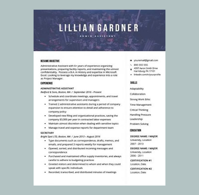 Majestic Resume Word Template Blue