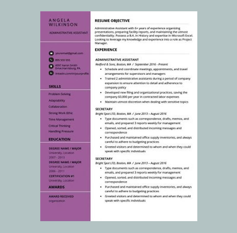 Clean And Polished Resume