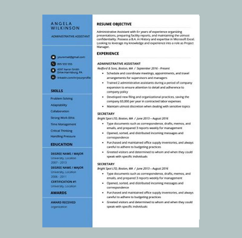 Clean and Polished Resume Blue